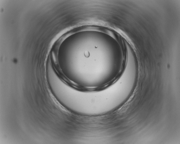 X0000068271238200604211102