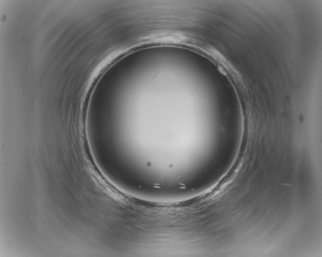 X0000068271240200604211102