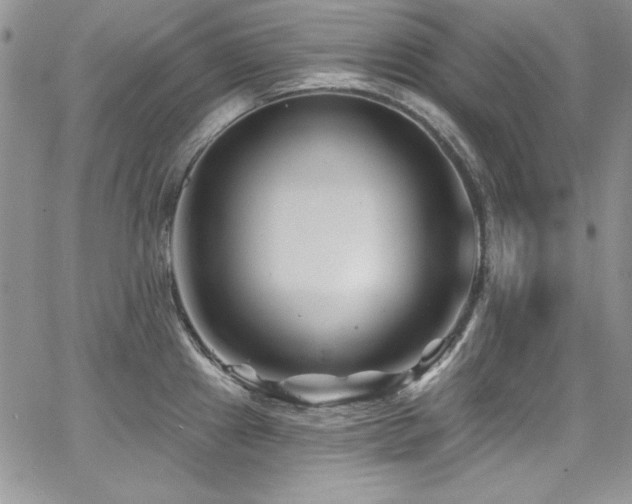 X0000068271241200604211102