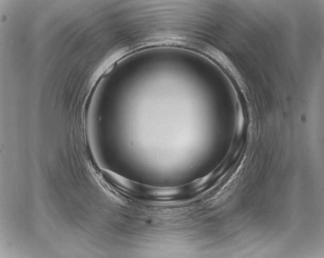 X0000068271242200604211102