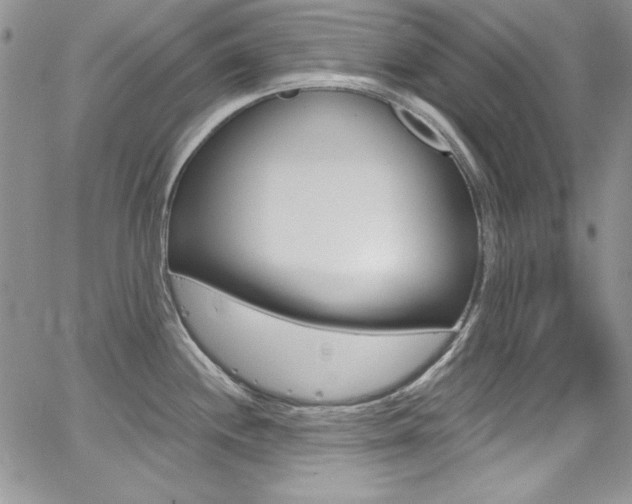 X0000068271244200604211102