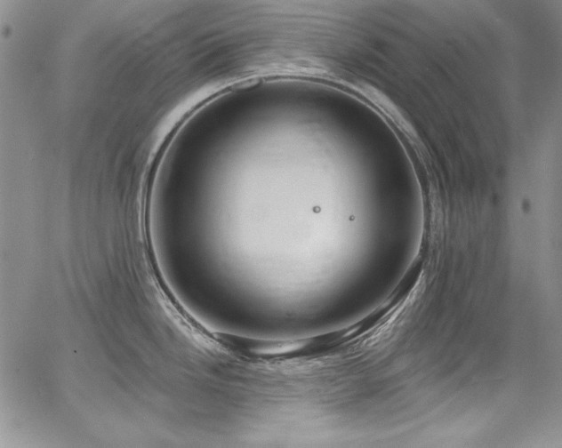 X0000068271246200604211102