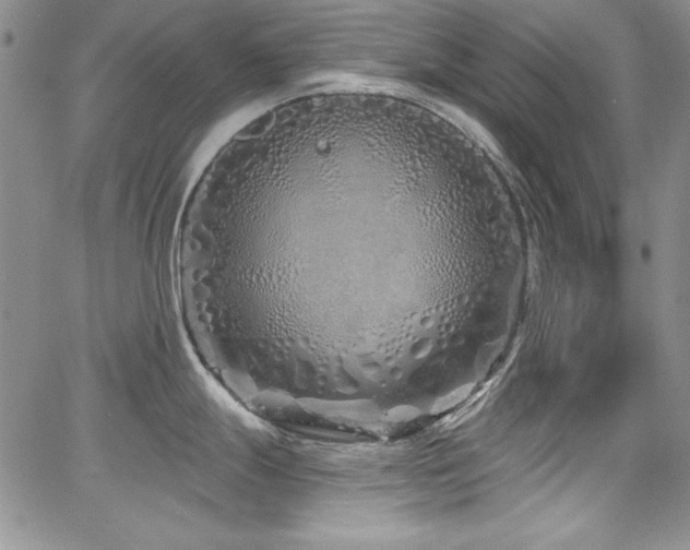 X0000068271247200604211102