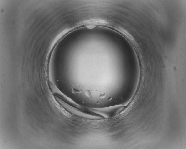 X0000068271248200604211102