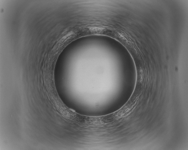 X0000068271249200604211101