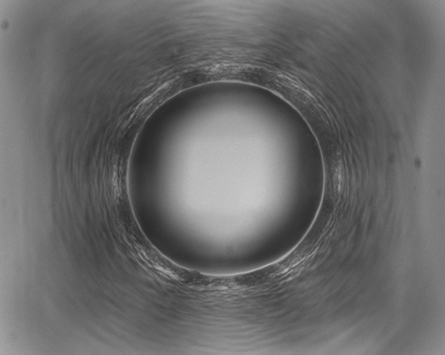 X0000068271250200604211101