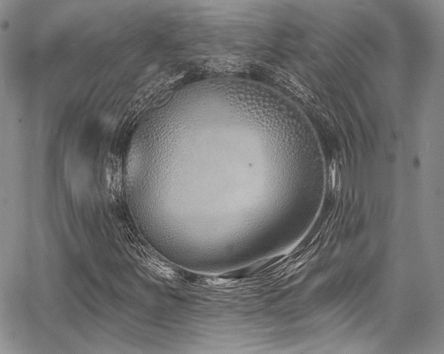 X0000068271251200604211101