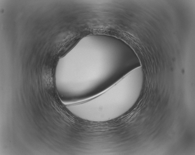 X0000068271252200604211101