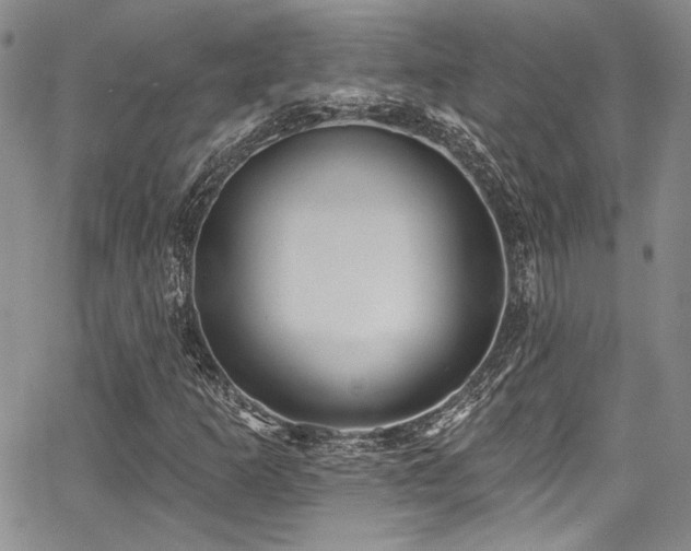 X0000068271253200604211101