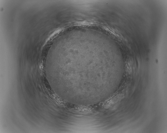 X0000068271254200604211101