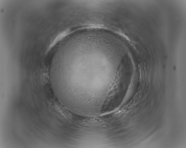 X0000068271255200604211101