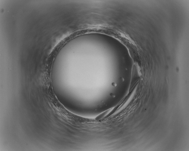 X0000068271256200604211101