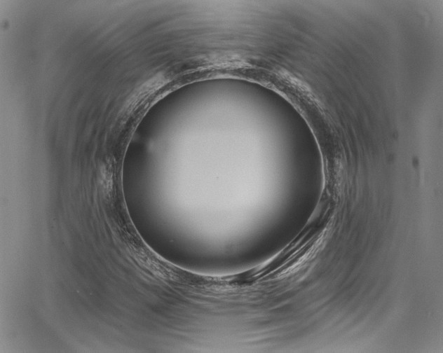 X0000068271257200604211101