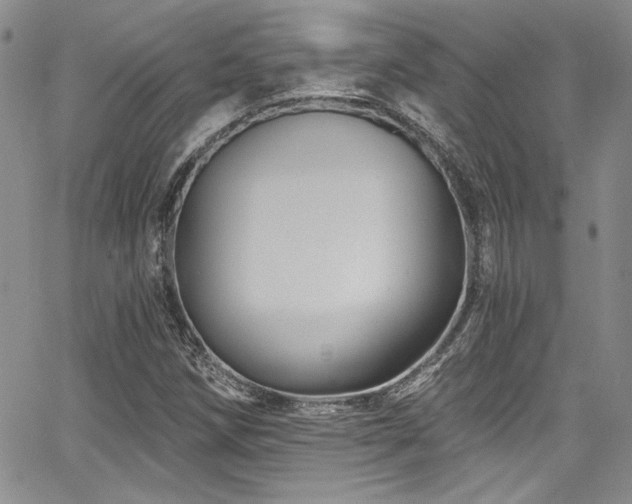 X0000068271258200604211101