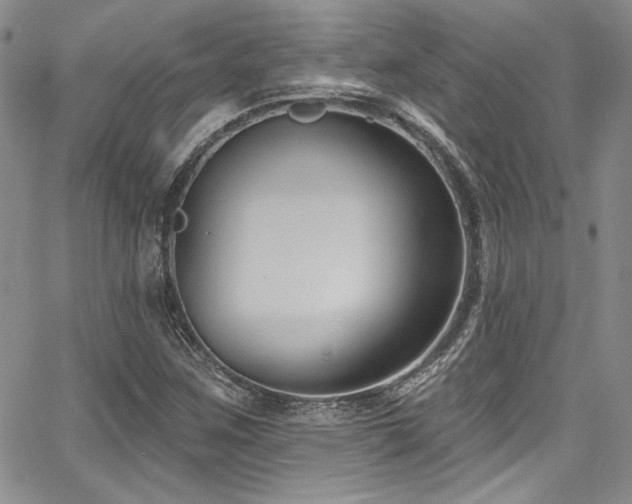 X0000068271259200604211101