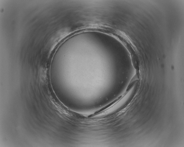 X0000068271260200604211101