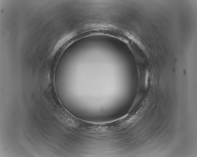 X0000068271261200604211101