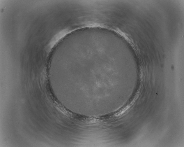 X0000068271263200604211101