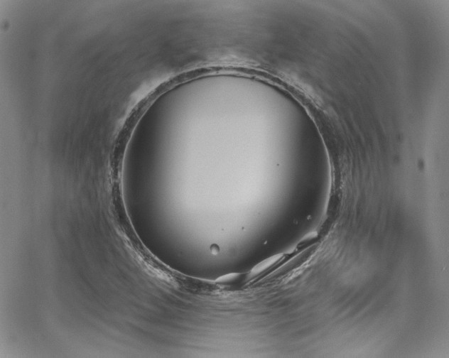 X0000068271264200604211101