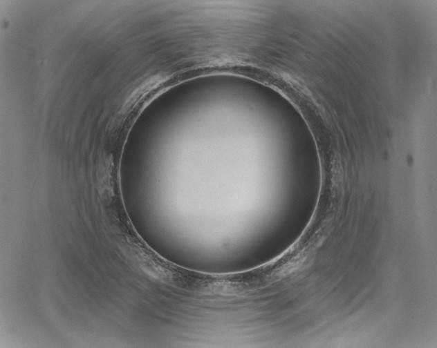 X0000068271265200604211101