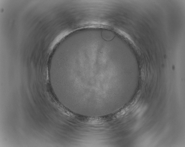 X0000068271267200604211101