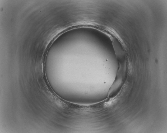 X0000068271268200604211101