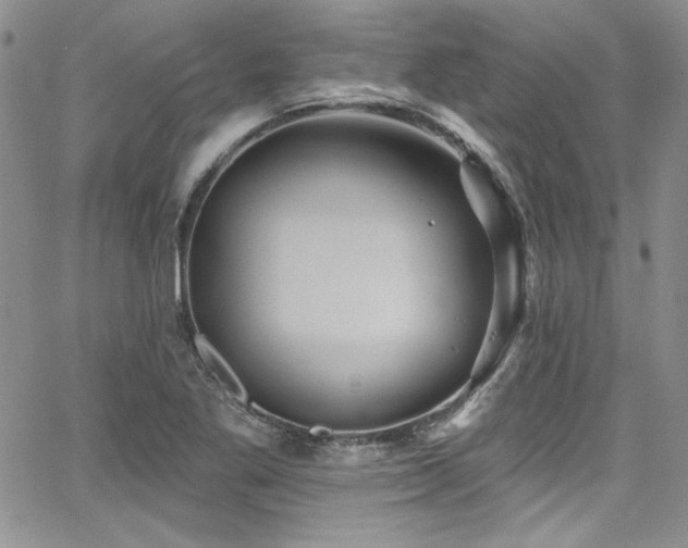 X0000068271269200604211101