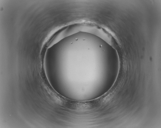 X0000068271270200604211101