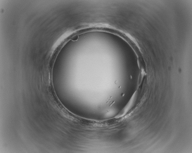 X0000068271271200604211101