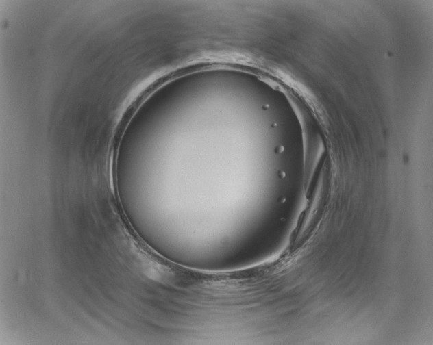 X0000068271272200604211101