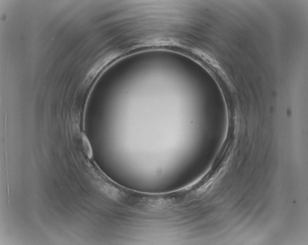 X0000068271273200604211101