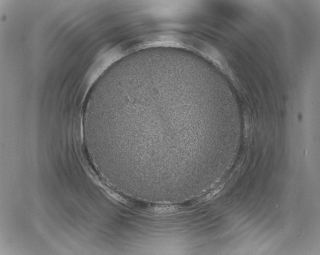 X0000068271274200604211101