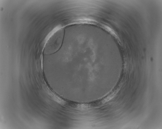 X0000068271275200604211101