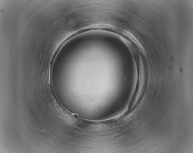 X0000068271276200604211101