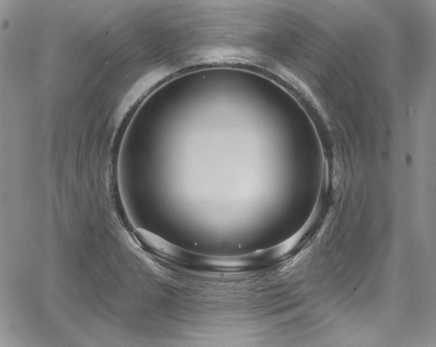 X0000068271277200604211101