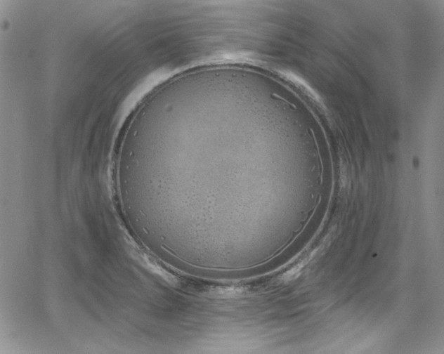 X0000068271278200604211101