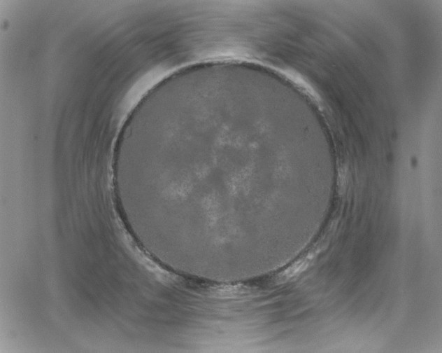 X0000068271279200604211101