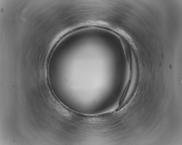 X0000068271280200604211101