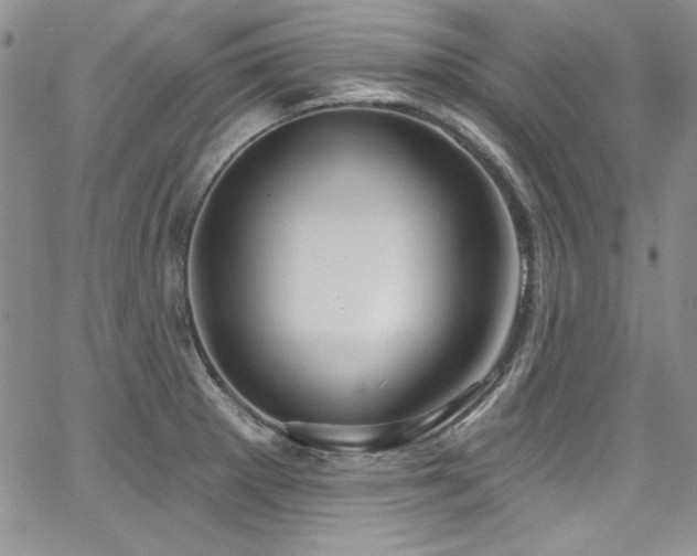 X0000068271281200604211101