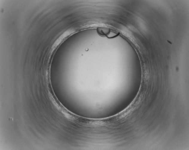 X0000068271282200604211101