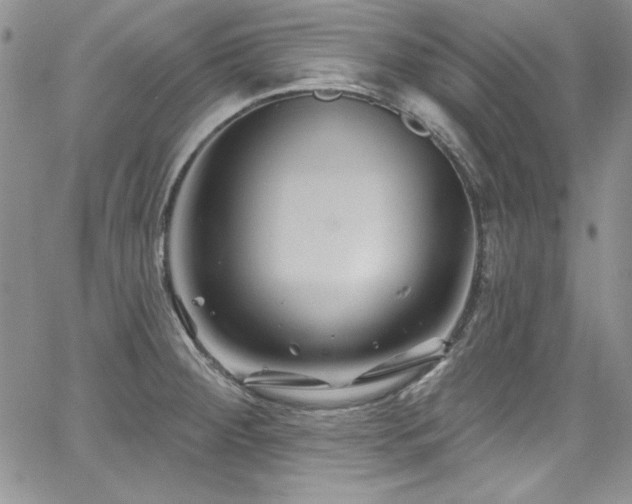 X0000068271284200604211101