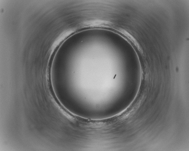 X0000068271285200604211101