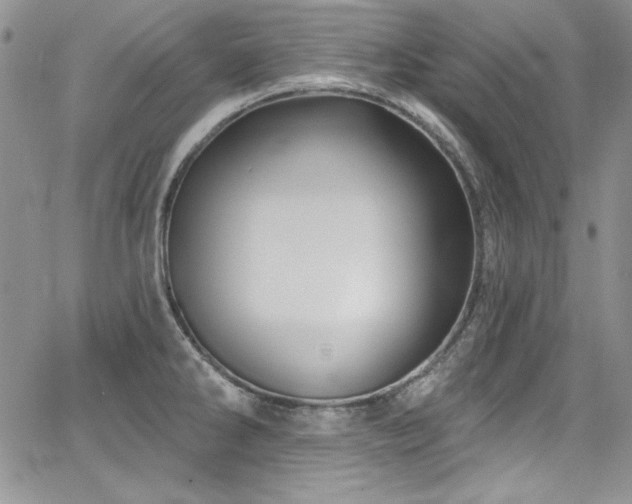 X0000068271286200604211101