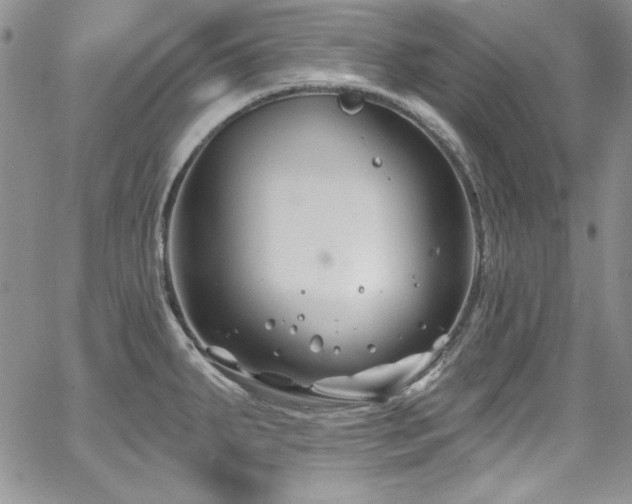 X0000068271287200604211101