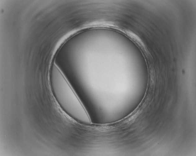 X0000068271288200604211101