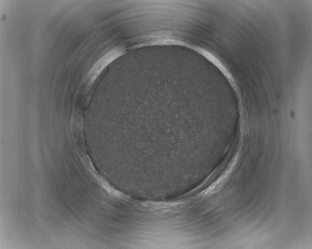 X0000068271289200604211101