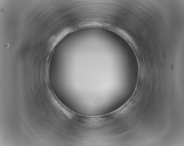 X0000068271290200604211101