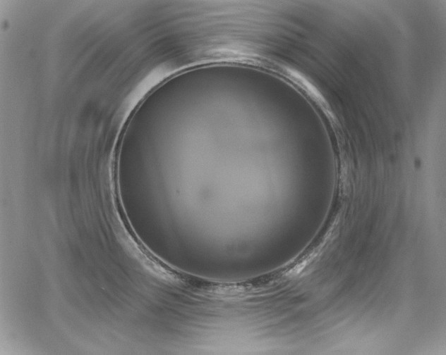 X0000068271291200604211101