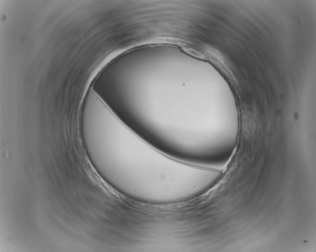 X0000068271292200604211101