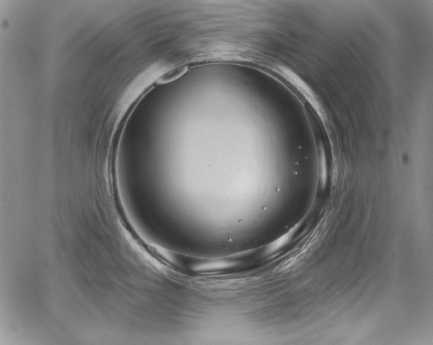 X0000068271293200604211100